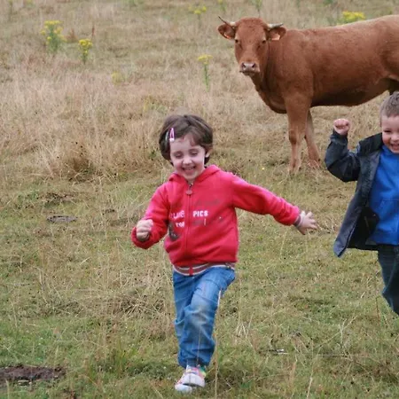 El Ribero Agroturismo Llanteno